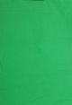 Backdrop Plain Muslin 3m x 5m Green (Foldable Green Screen)