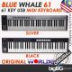 (Malaysia Stock) Worlde BLUE WHALE 61 Portable USB  61  Keyboard for home user